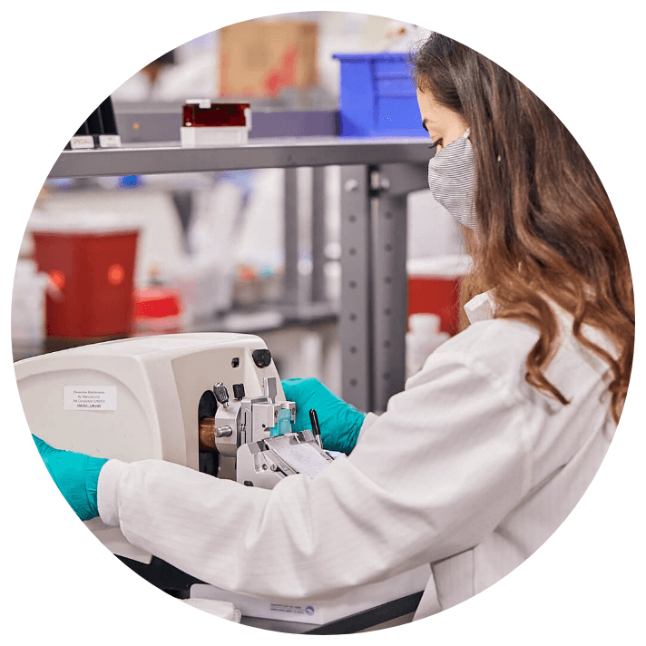Scientist slicing specimens for laboratory work